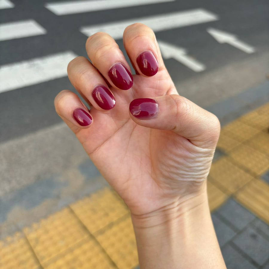 쉬어 버건디 Sheer burgundy